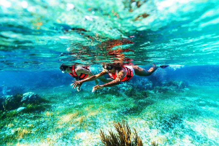 Puerto Morelos Snorkel, paseo por la ciudad, degustación de tequila y almuerzo en la playa