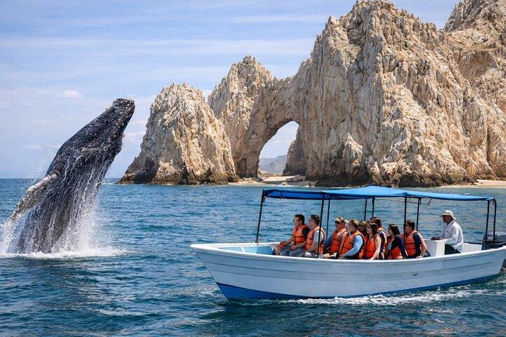 2 - Excursión de una hora en tierra | Arch, Lover’s Beach & Whale Encounters