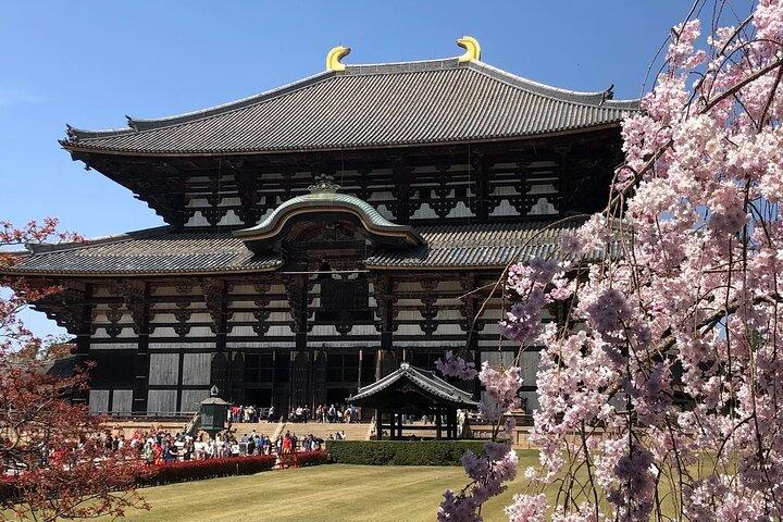 Nara, Osaka & Katsuo-ji Private Tour mit Guide auf Englisch