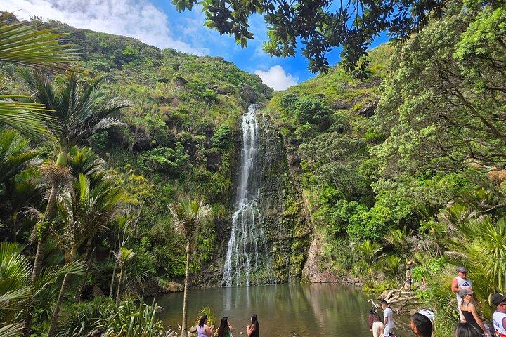 Private Auckland West Coast Karekare Falls, Rainforest et Piha