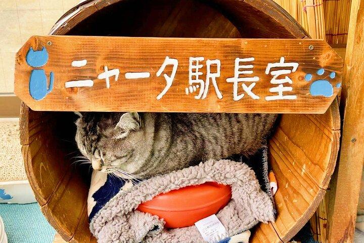 福岡 : 太宰府、由布院村、別府ロープウェイ、竈門地獄