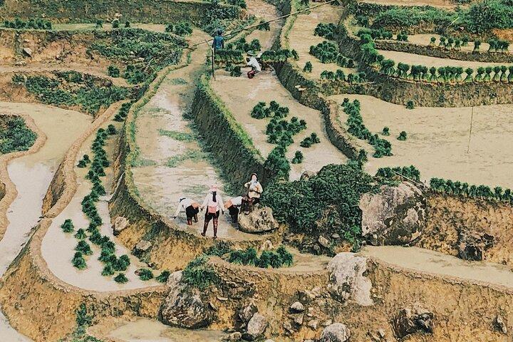 4 - Tour Sapa Trekking di un giorno: terrazze di riso, villaggi e alloggi in famiglia