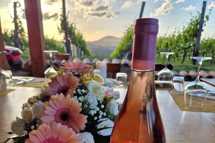 Excursión de un día de cata de viñedos y aperitivo desde Roma