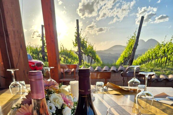 Excursión de un día de cata de viñedos y aperitivo desde Roma