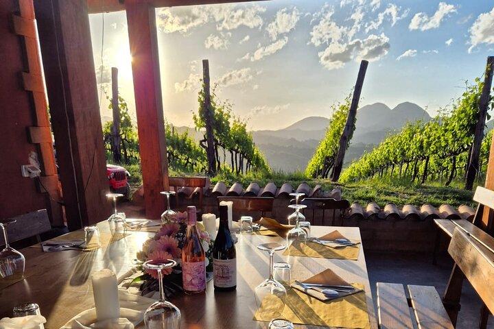 Excursión de un día de cata de viñedos y aperitivo desde Roma