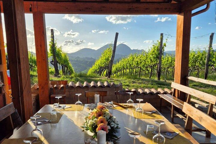Excursión de un día de cata de viñedos y aperitivo desde Roma