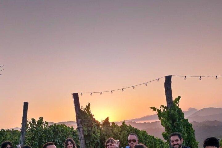 Excursión de un día de cata de viñedos y aperitivo desde Roma
