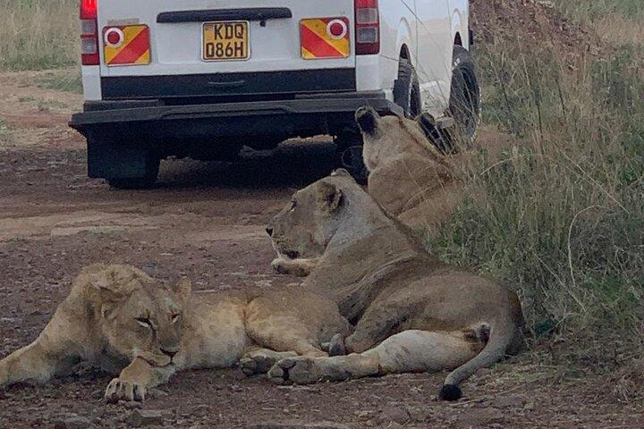 Tour guidato di mezza giornata nel Parco Nazionale di Nairobi con un 4WD