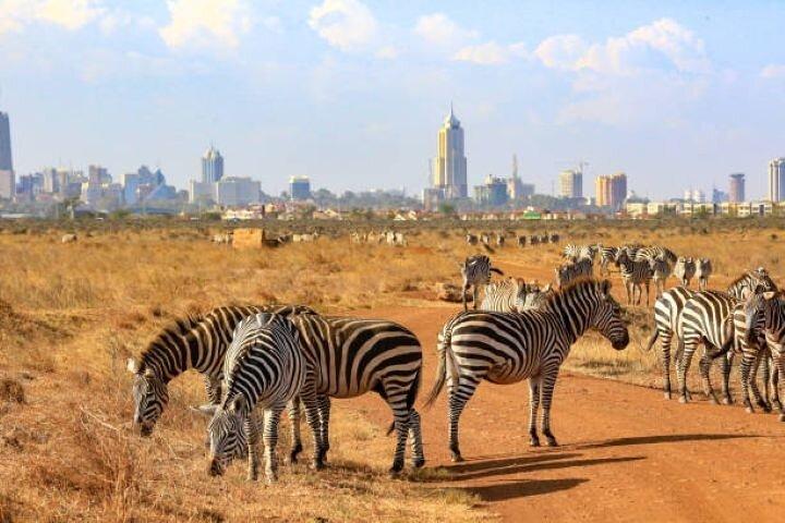 Tour guidato di mezza giornata nel Parco Nazionale di Nairobi con un 4WD
