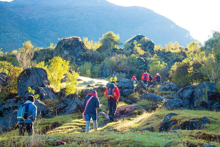 Trekking 9 días en el Monte Kilimanjaro