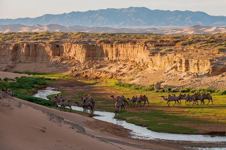 Tour de aventura en 4WD por el desierto de Gobi de Mongolia Serena de 8 días