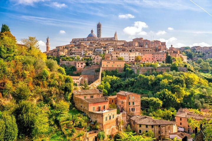 Experiencia Vitivinícola en Montalcino y Siena
