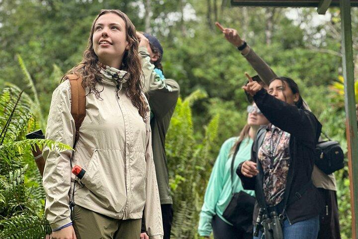 Rio Celeste, luiaards spotten en waterval-regenwoudervaring