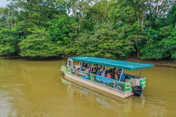 Safari en bateau animalier Caño Negro au départ de La Fortuna (Excursion d'une journée)