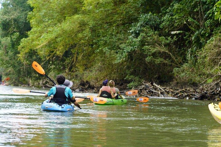Wildlife Safari Float mit dem Kajak im Fluss Peñas Blancas von Arenal aus