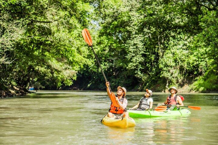 Wildlife Safari Float mit dem Kajak im Fluss Peñas Blancas von Arenal aus