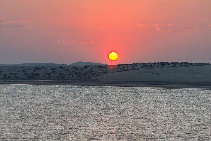 ドーハ砂漠サファリサンライズ/サンセット/半昼夜アドベンチャー
