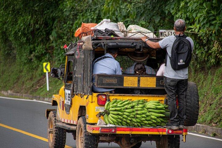 La Tierra del Café - Tour Ciclista Guiado por Colombia