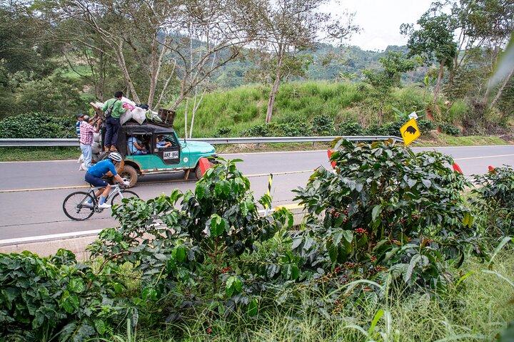 La Tierra del Café - Tour Ciclista Guiado por Colombia