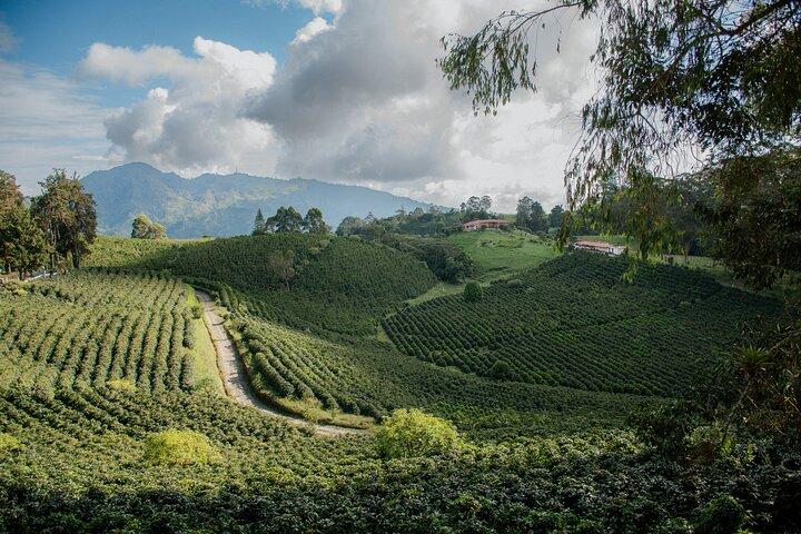 La Tierra del Café - Tour Ciclista Guiado por Colombia