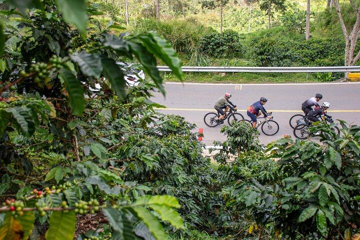 La Tierra del Café - Tour Ciclista Guiado por Colombia