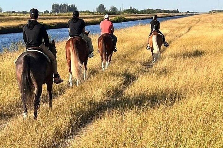 Guidet ridning eventyr i Miami landsby