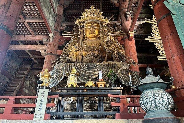 Nara Early Morning Group Tour von Kyoto oder Osaka