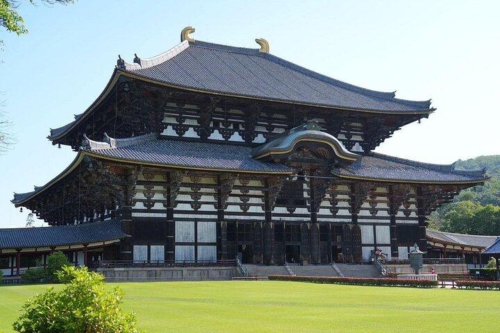 Nara Early Morning Group Tour de Kyoto ou Osaka