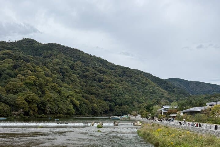 Kyoto&Nara Day Tour | English Guide & Private Vehicle