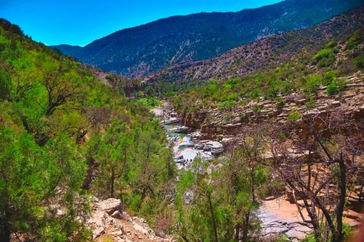 Excursion to Paradise Valley from Agadir and Taghazout