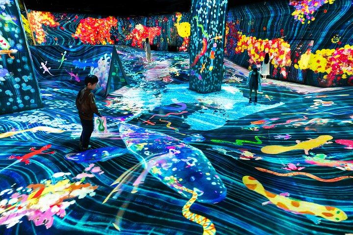 Tokyo:TeamLab Private Transfer with Hotel Pickup & Drop-off