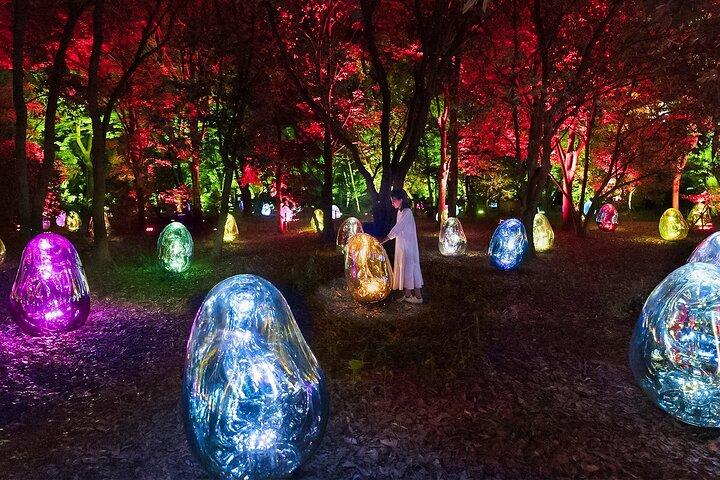 Tokyo:TeamLab Private Transfer with Hotel Pickup & Drop-off