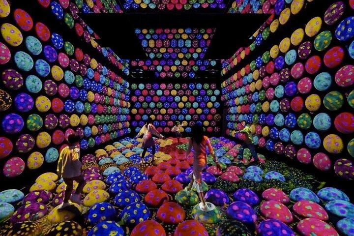 Tokyo:TeamLab Private Transfer with Hotel Pickup & Drop-off