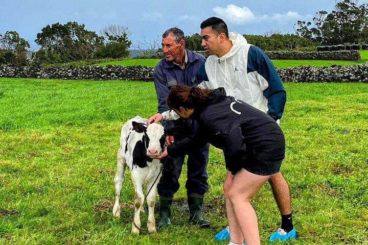 Terceira Island Highlights with Local Guide