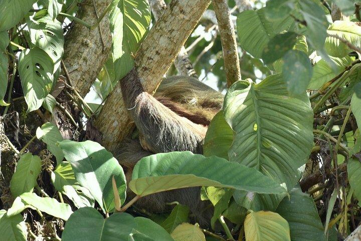 Rafting Costa Rica: Small Group Class III Rafting on Balsa River