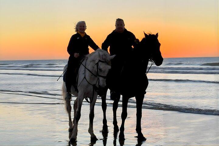 Cavalgadas em Essaouira Beach Durações flexíveis e pôr do sol