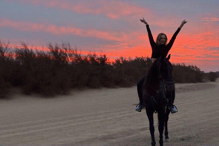 Cavalgadas em Essaouira Beach Durações flexíveis e pôr do sol