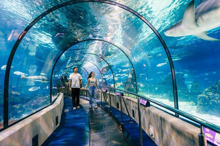 Barcelona City Tour Hop-On Hop-Off und Aquarium