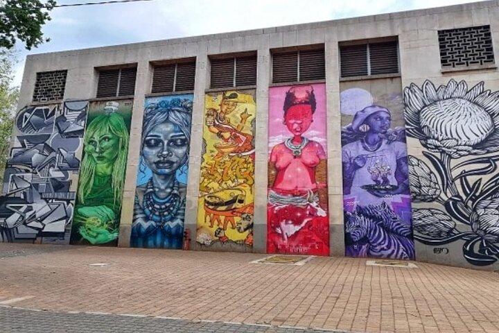Tour a piedi della città di Johannesburg