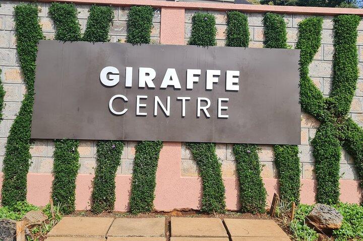 Shopping privato culturale e tour del Centro Giraffe
