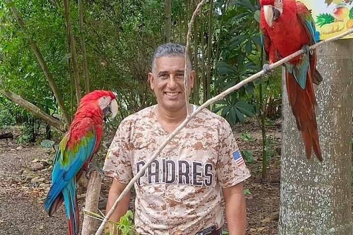 Puerto Plata: Affentouren, Lernen und Natur