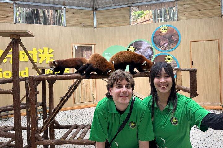 Visite unique d'une journée : une rencontre serrée avec les pandas roux