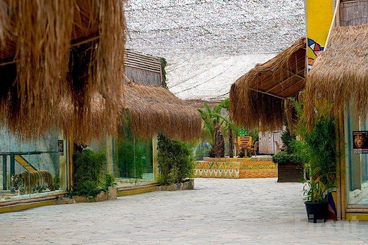 Viaport Lion Park Ticket with Optional Hotel Transfer