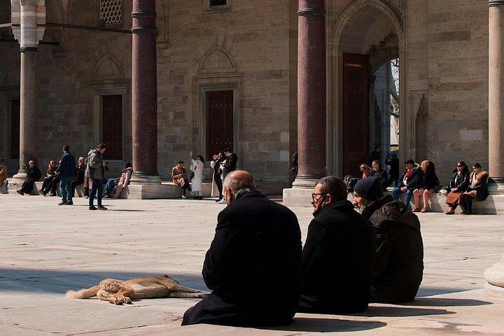 For Cruisers: Cruise Friendly Istanbul Tour with Return Guarantee