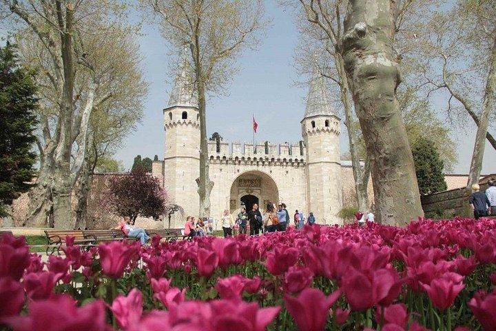 For Cruisers: Cruise Friendly Istanbul Tour with Return Guarantee