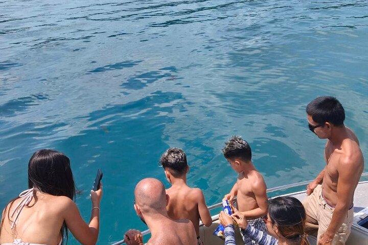 Aventure privée en bateau rapide à Pig Island