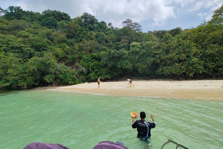 Aventure privée en bateau rapide à Pig Island