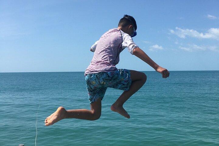 Aventure privée en bateau rapide à Pig Island