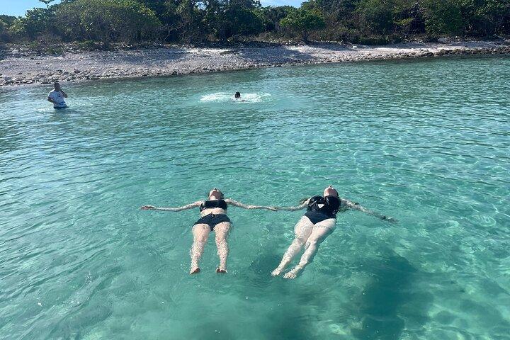 Aventure privée en bateau rapide à Pig Island