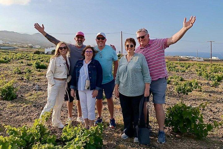 Santorini without Barriers: Accessible 5-Hour Highlights Tour